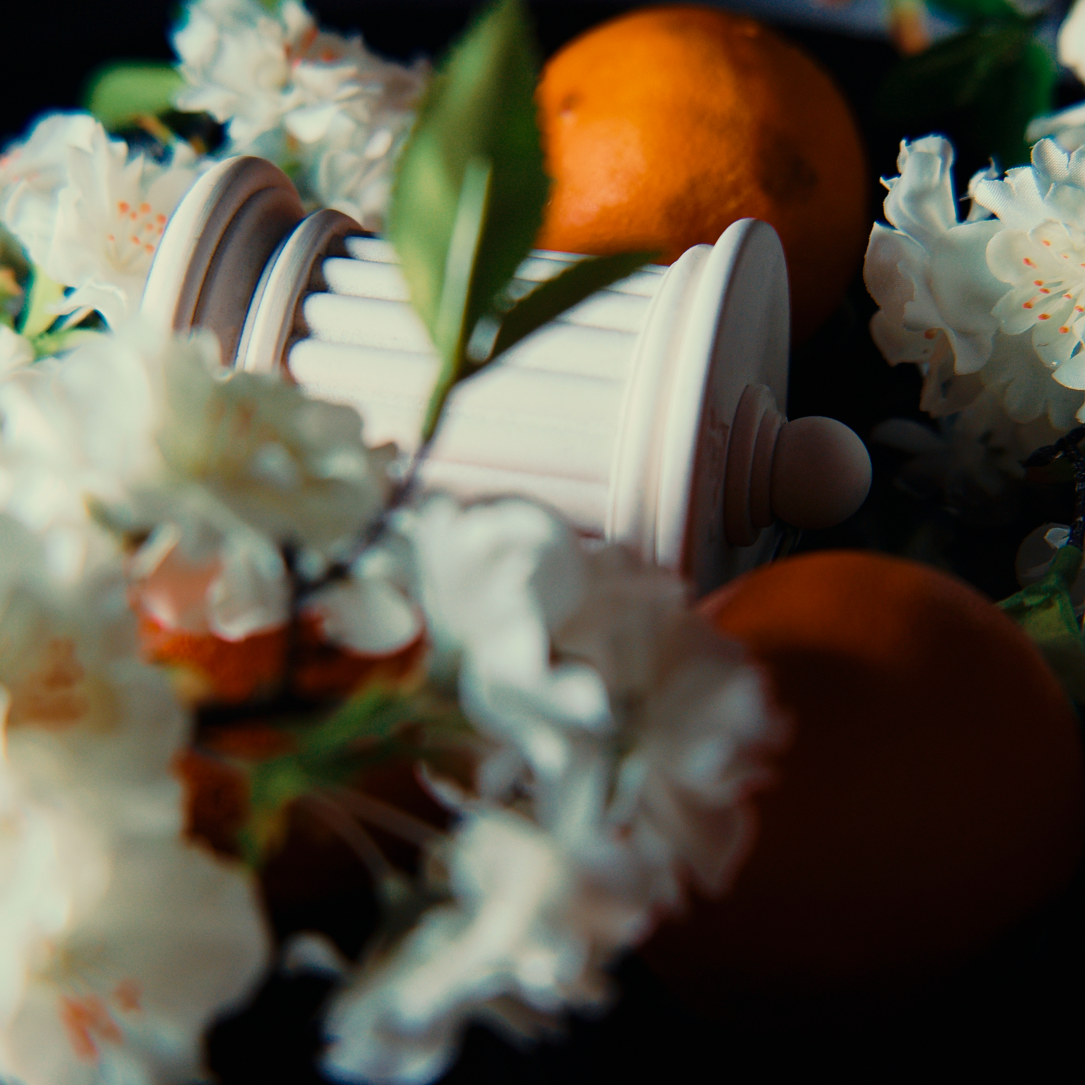 Bougie parfumée Fleur d’Oranger et Osmanthus Eos de Keropoia